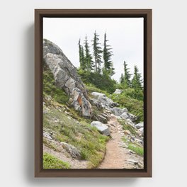 Hiking Trail Mountains Forest Pacific Northwest Rocky Footpath Landscape Boulders Washington  Framed Canvas