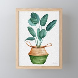 Tropical Plant In A Basket Planter Framed Mini Art Print