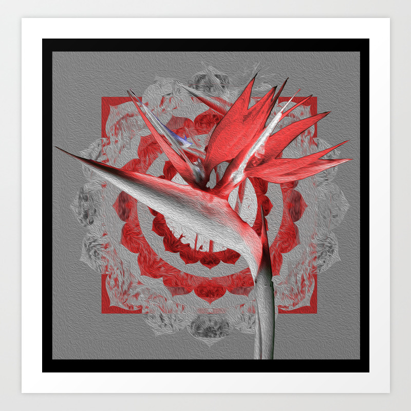 Deep Coral Crimson Vintage Bird Of Paradise Painting Art Print By
