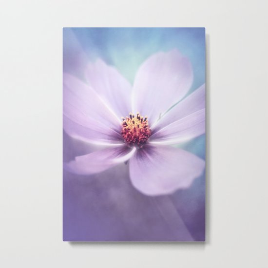 SPRING BEAUTY Metal Print