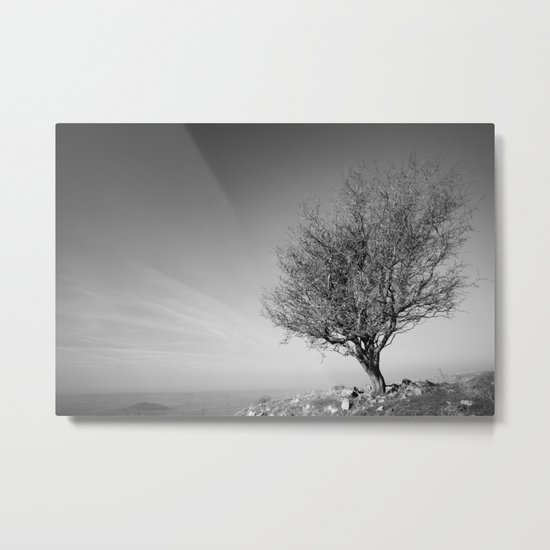 Lonely Tree Metal Print