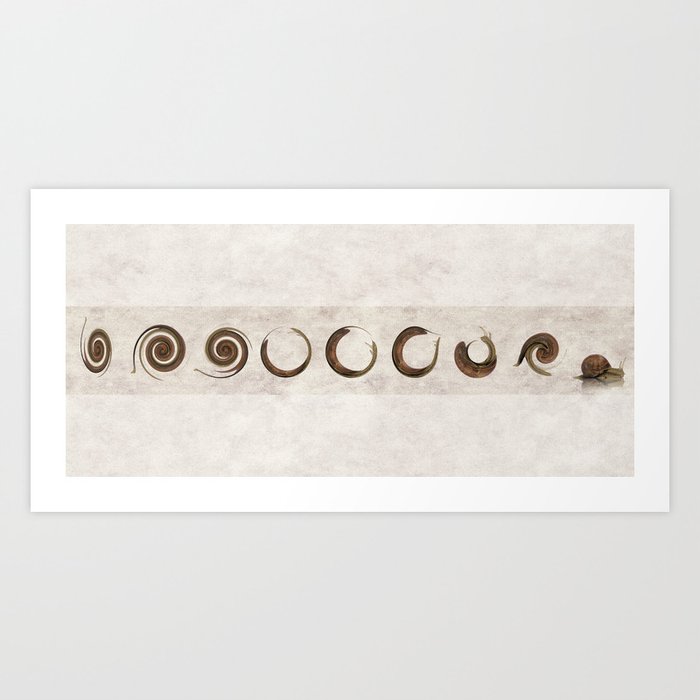The Failed Evolutionary Spin Cycles Of The Snail Art Print