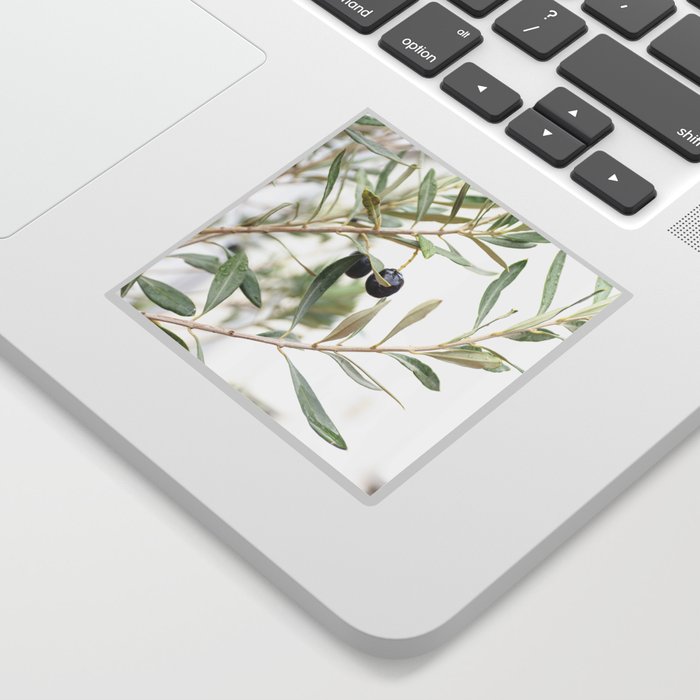 Olive Tree Branches Photo | Botanical Green Leaves in Europe Art Print | Mediterranean Soft Color Travel Photography Sticker