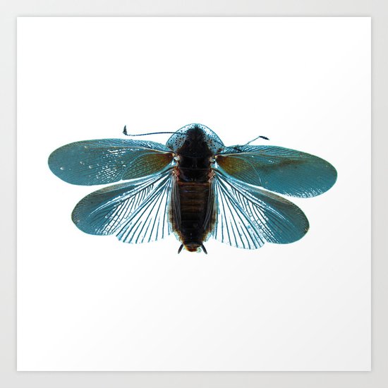 Blue Moth Art Print