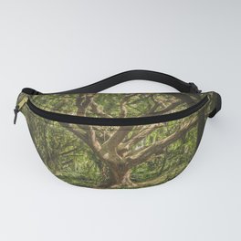 Old Green Tree Fanny Pack