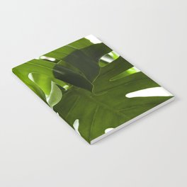 Monstera Deliciosa III  |  The Houseplant Collection Notebook
