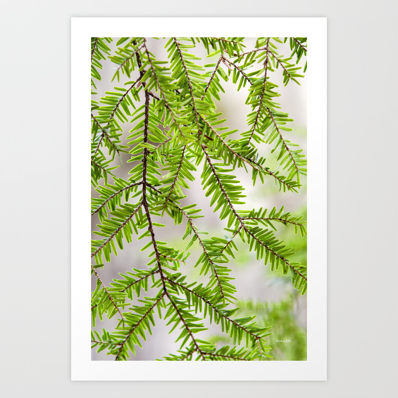 Evergreen Abstract Art Print By Christinarollo Society6