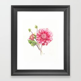 Dahlia Larry's Love Framed Art Print