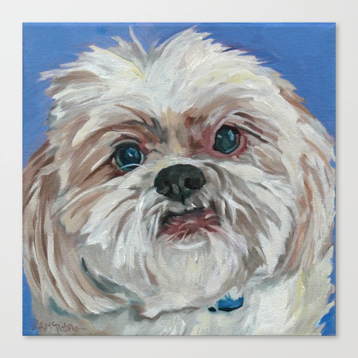 Ruby The Shih Tzu Dog Portrait Canvas Print By