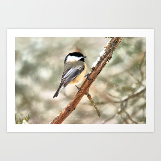 Clinging Chickadee Art Print