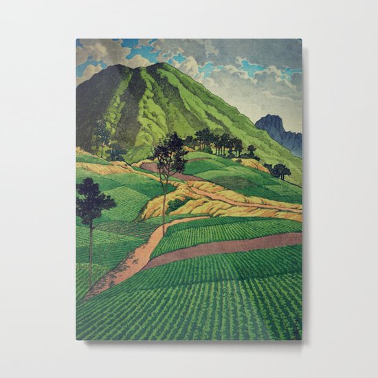 Crossing people's land in Iksey Metal Print