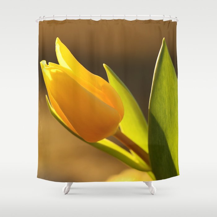 Shimmering Beutiful Yellow Tulip - Sunny Spring Scene #decor #society6 #buyart Shower Curtain