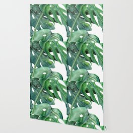 Monstera Wallpaper