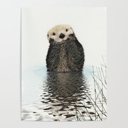 Painted Otter Reflections Poster