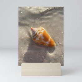 Resting Shell Mini Art Print