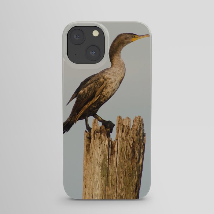 Double Crested Cormorant Animal / Wildlife Photograph iPhone Case and More
