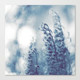 Tangled up in blue Canvas Print