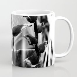Helicona Rostrata Black And White Mug