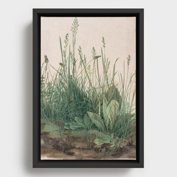 Albrecht Durer - The Large Piece of Turf Framed Canvas