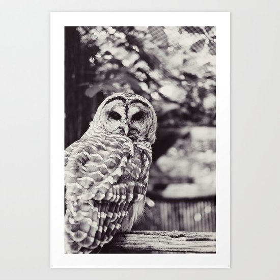 Owl Love Art Print