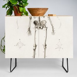 Human Skeleton Anatomy Illustration Credenza