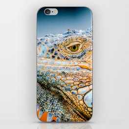 Mexico Photography - Green Iguana Relaxing Under The Sun iPhone Skin