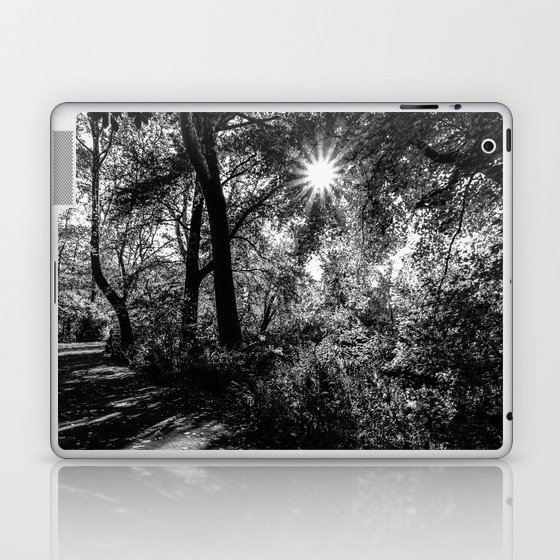Autumn Fall in Central Park in New York City black and white Laptop & iPad Skin