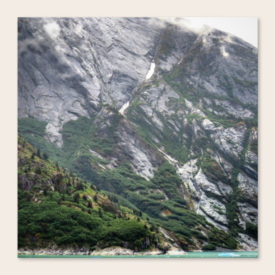 Mountainside Canvas Print