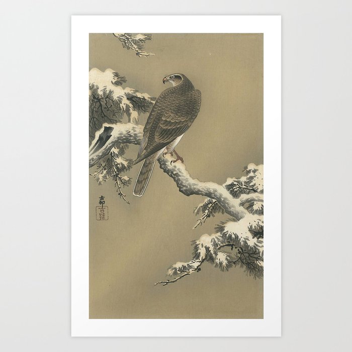 Koson Ohara - Hawk on a snowy Branch - Japanese Vintage Ukiyo-e Woodblock Painting Art Print