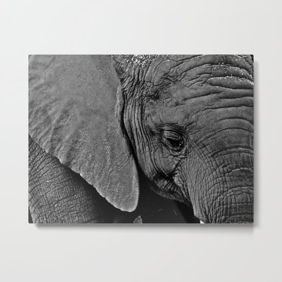 Beauty is Skin Deep Metal Print