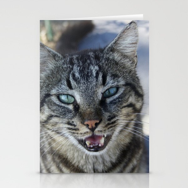 Chatty Cat Chirruping Pet Photography Stationery Cards