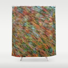 Rainbow carpet Shower Curtain
