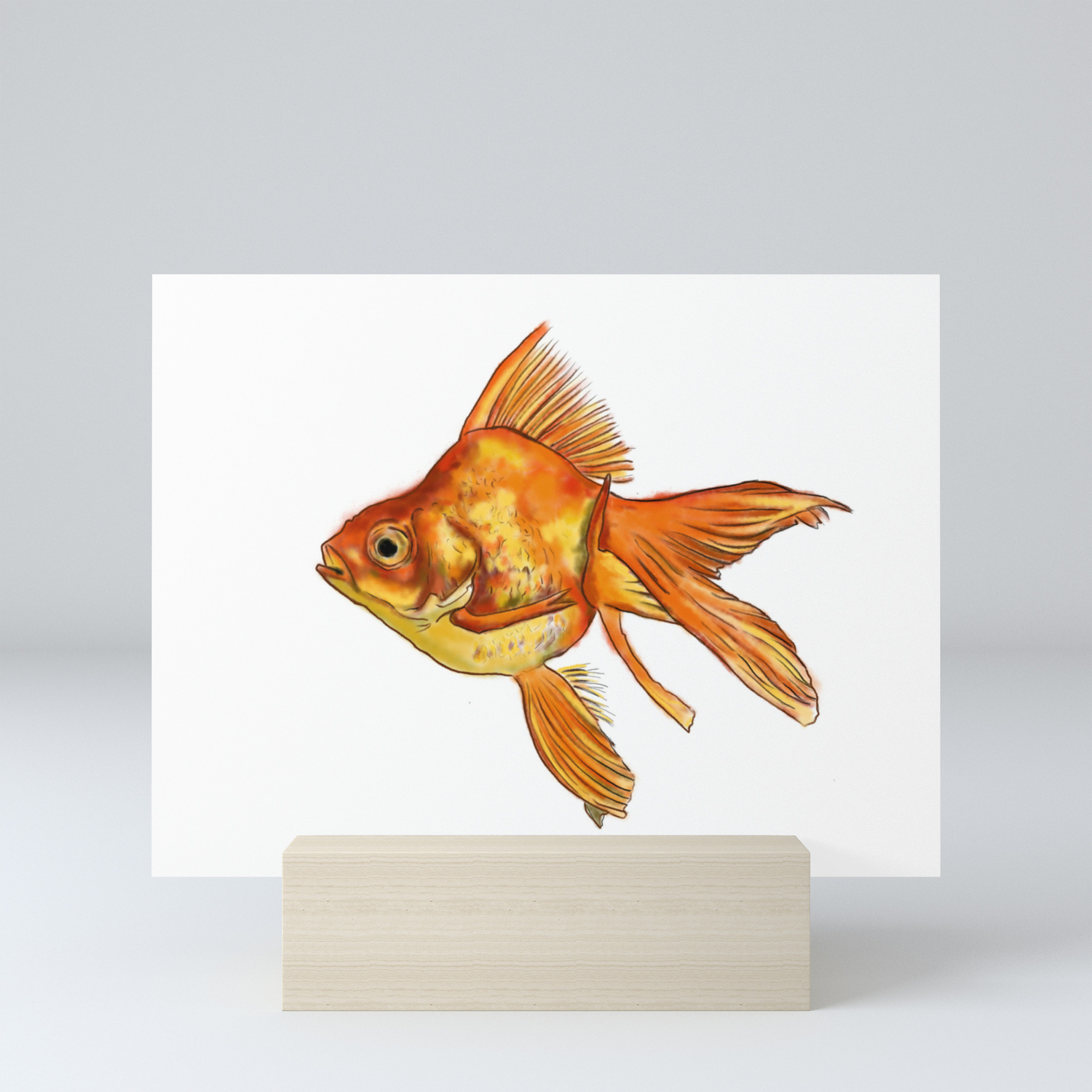 D Shocked Goldfish Isolated On White Art Print Home Decor Wall Art Poster 