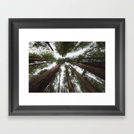 Redwood Portal - nature photography Framed Art Print
