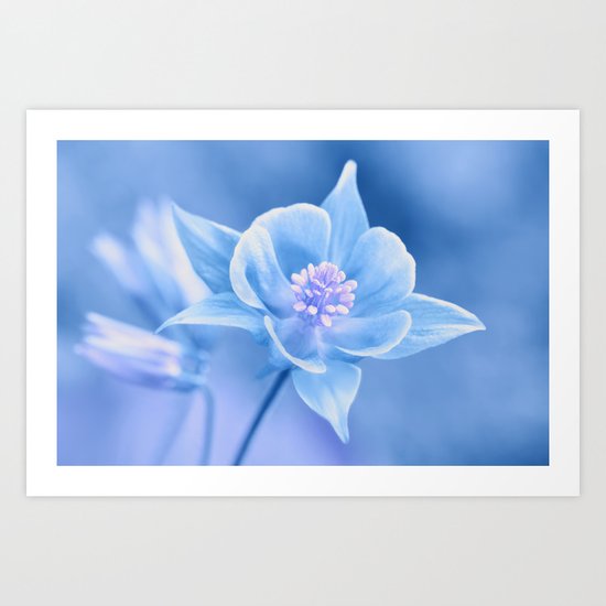 Columbine Flower 161 Art Print
