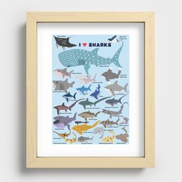 I Heart Sharks Recessed Framed Print
