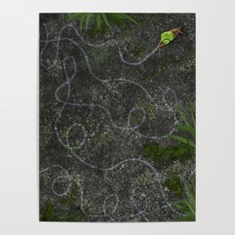 Snail Trails Poster