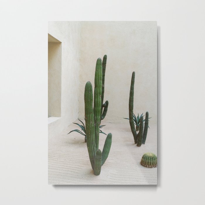 Cabo Cactus VI Metal Print