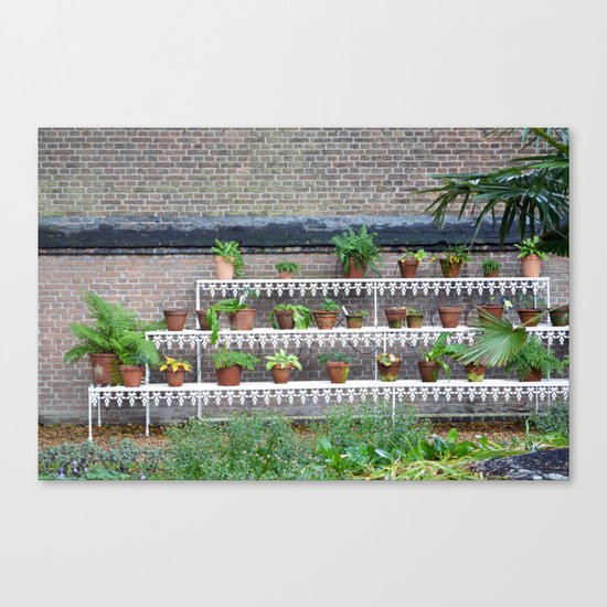 Pots and plants Canvas Print