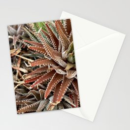 Zebra plant	 Stationery Cards