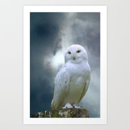 D Snow Owl Art Print Home Decor Wall Art Poster