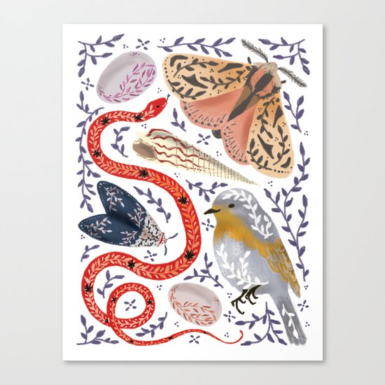 Fauna - biodiversity illustration Canvas Print