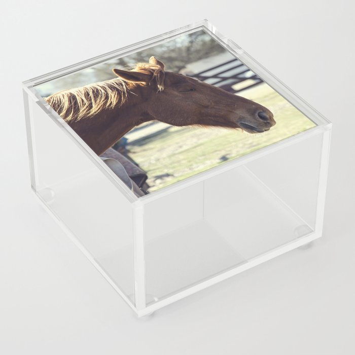 Serenity in the Stable: Captivating Photo of a Horse at Peace – Eyes Closed, Mane Dancing in Breeze Acrylic Box