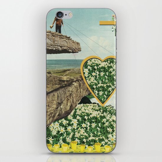 Daffodils iPhone & iPod Skin