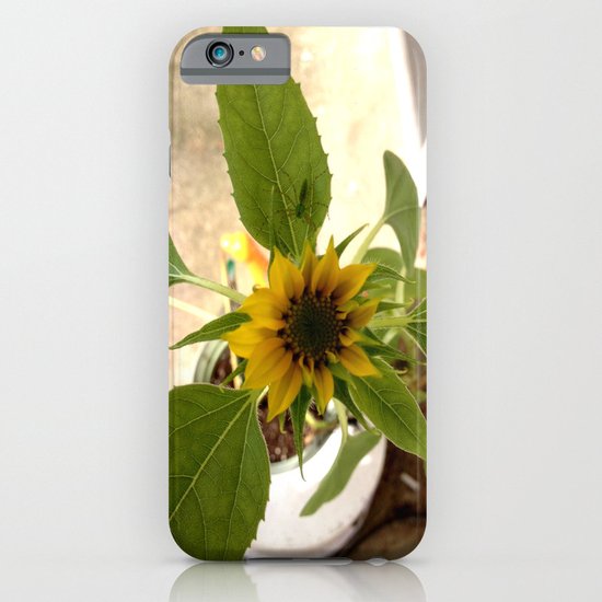 Flower Spider iPhone & iPod Case