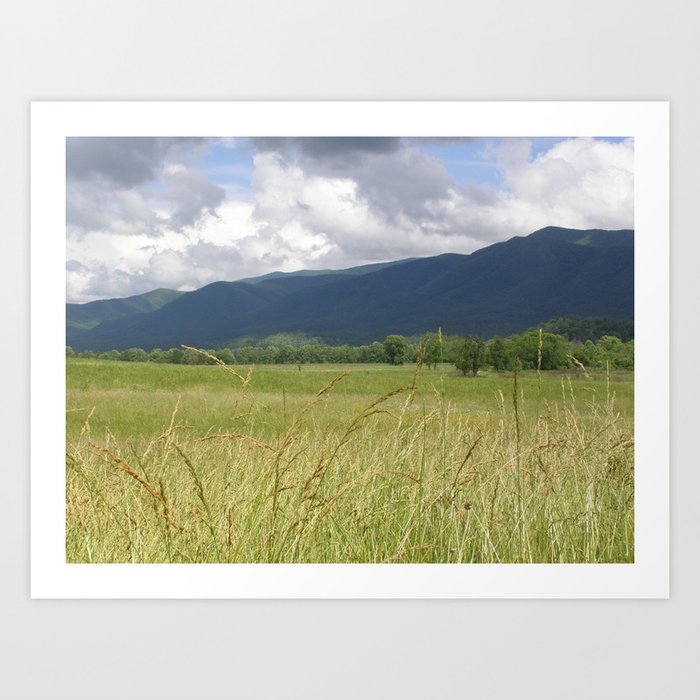 Smoky Mountains by Day Art Print
