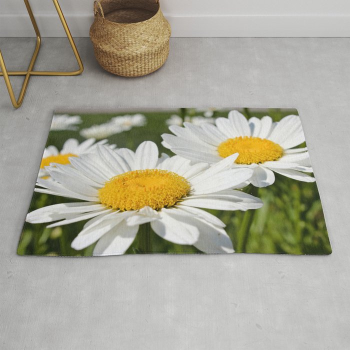 Summer Time Daisies Photography Rug