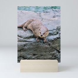 Watchful Otter Mini Art Print