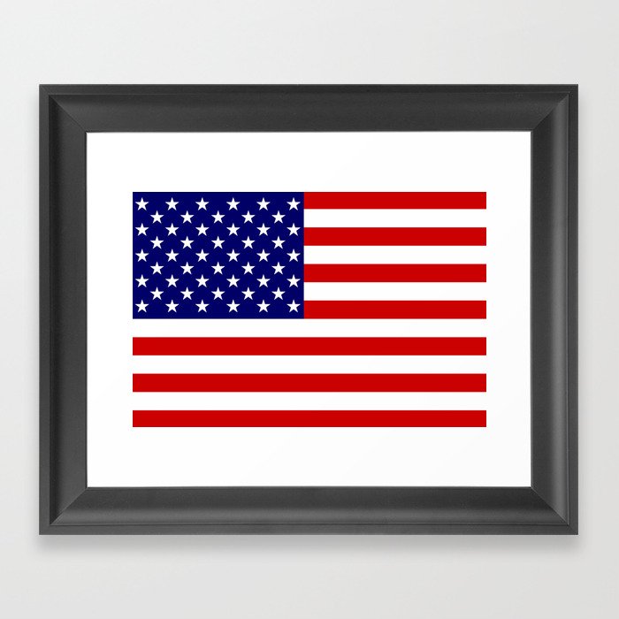 USA Flag Framed Art Print