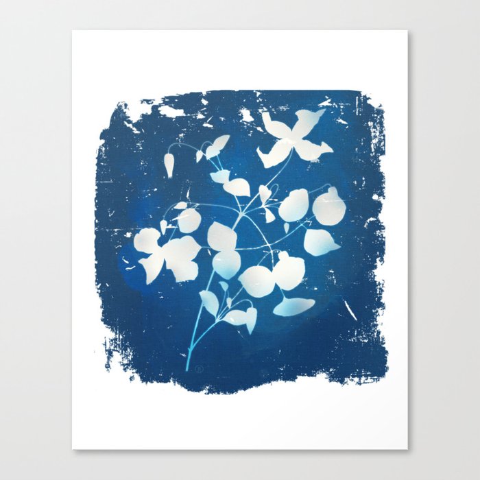 Clematis Blues Canvas Print